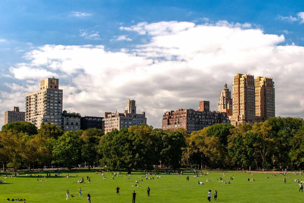 people in Central Park in New York City during the day