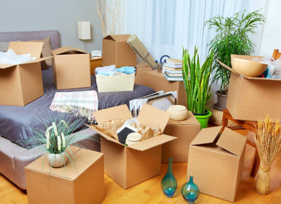 How to Help a Hoarder Move – A Detailed Guide
